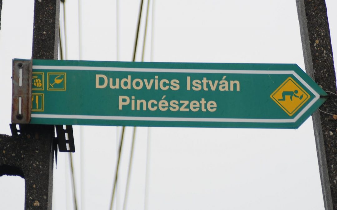 Pincemustra: bemutatkozik a Dudovics Pincészet