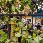 Abaúj-zempléni ízek, estebéd a portakonyhából