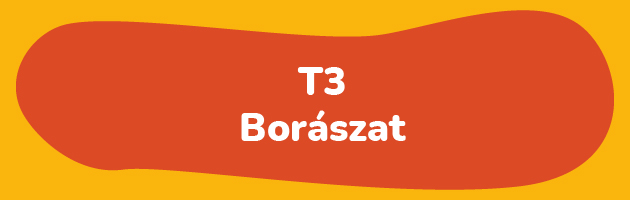 T3 Borászat